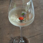 TSUSHIMI - ハーブティー　ビオラ