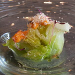 TSUSHIMI - 高原レタス