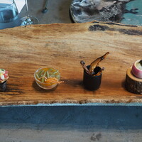 TSUSHIMI - 新大蒜・あやめ蕪・じゅんさい・原木椎茸