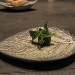 TSUSHIMI - アイスプラント　パートドフリュイと生のもの