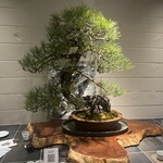 炭火焼きリリー - 