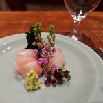 傳 - [2024年12月 訪問]2種の鯛。