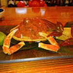 申子 - 香箱蟹甲羅盛