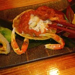 申子 - 香箱蟹甲羅盛