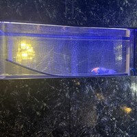 焼肉 拍手喝采 - 