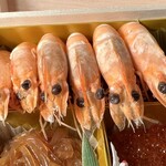 中国料理 竜苑 - 