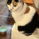 中国料理 竜苑 - 