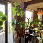 長江SORAE - 植物多め