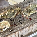 ミルキー鉄男のかき小屋 - 奥:かき小町
手前:殻付き牡蠣