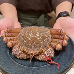 郷土料理 おが - 