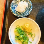 おうどん 瀬戸晴れ - 