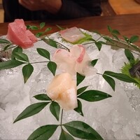 銀平 北新地店 - 