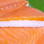 魚づ鱒寿し店 - ますの寿し（一段）