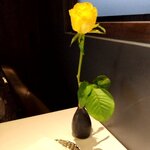 PRIMO - （2024.11）