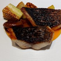 PRIMO - メジナのソテー チョッピンのソース（2024.11）