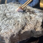 きのこの里 鈴加園 - 