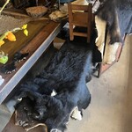 きのこの里 鈴加園 - 