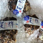 【旬の食材】≪6月解禁≫鳥取県産 天然岩がき「夏輝」