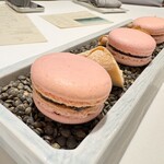 JINBO MINAMI AOYAMA - 