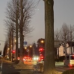 南房総 やまと寿司 - 