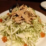 広島焼HIDE坊 - サラダ