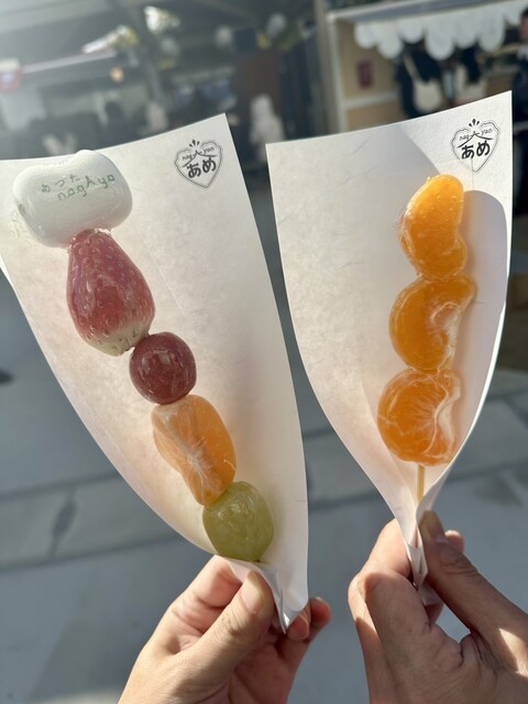 nagAya no Ame photo 5