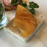 GREVILLEA なんばパークス - 