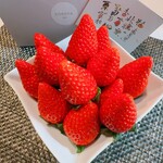 KOBOYA - 