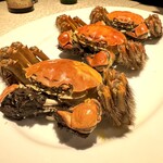 香港料理 申申 - 