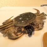 香港料理 申申 - 