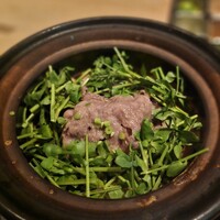 SHIKAKU - 
