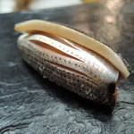 日本橋橘町　都寿司 - 