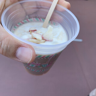 トルバドールタバン_1