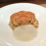 セルサルサーレ - 