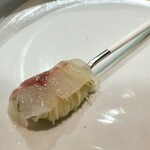 セルサルサーレ - 