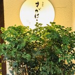 BARすがはら 渋谷本館 - 