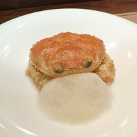 セルサルサーレ - 