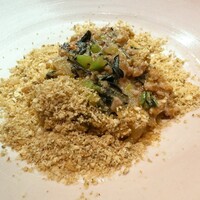 セルサルサーレ - 