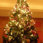 スプレンディード - 