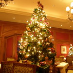 スプレンディード - 