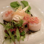 スプレンディード - 帆立貝の冷製　黒オリーブとトマトソース