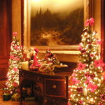 スプレンディード - 