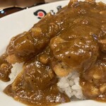 日乃屋カレー - 