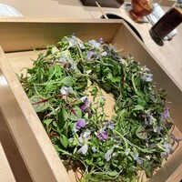 焼鳥 篠原 - 