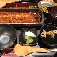 うなぎ四代目菊川 ミッドランドスクエア 名古屋本店 - 