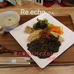 Re echo - 검은 약선 스파이스 카레
