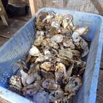 海の駅しおさい市場 - 牡蠣の殻！     2人で、これだけ食べた (笑)