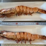 鰻割烹 伊豆栄 - 高島屋で買ったエビ塩焼きを計測。