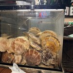 大衆居酒屋魚さんこ - 