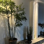 鮨 一二郎 - 季節ごとに姿を変える鉢植えも私のお楽しみなんです。